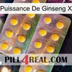 Ginseng Power X new10
